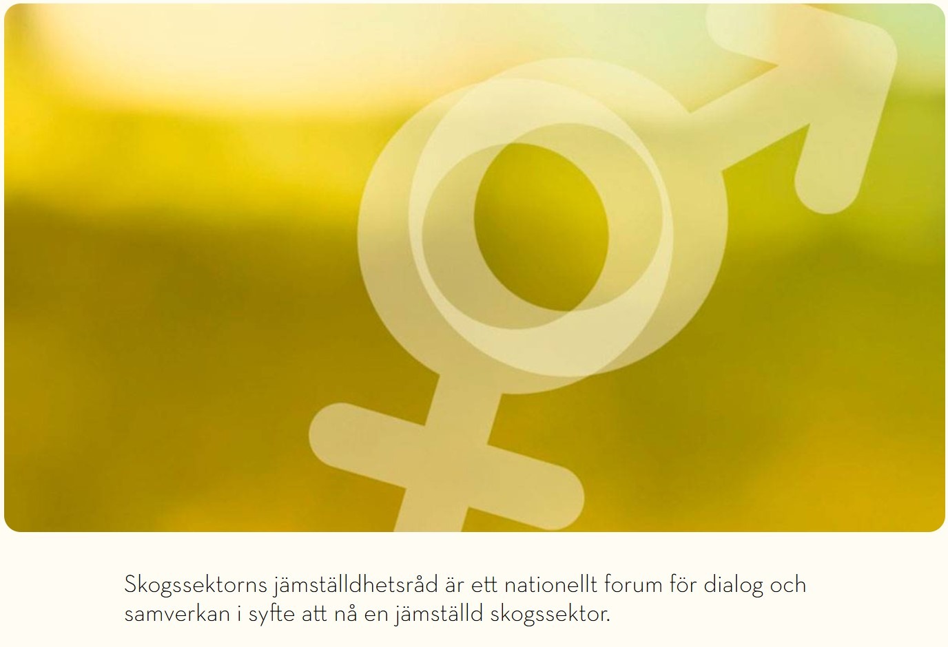 Du visar för närvarande Webbinarieserie: Jämställdhet, inkludering och hållbar utveckling