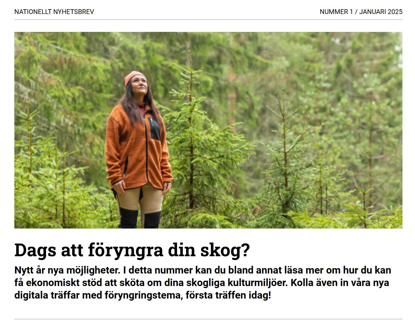 Du visar för närvarande Skogsstyrelsens nyhetsbrev nr. 1 – 2025