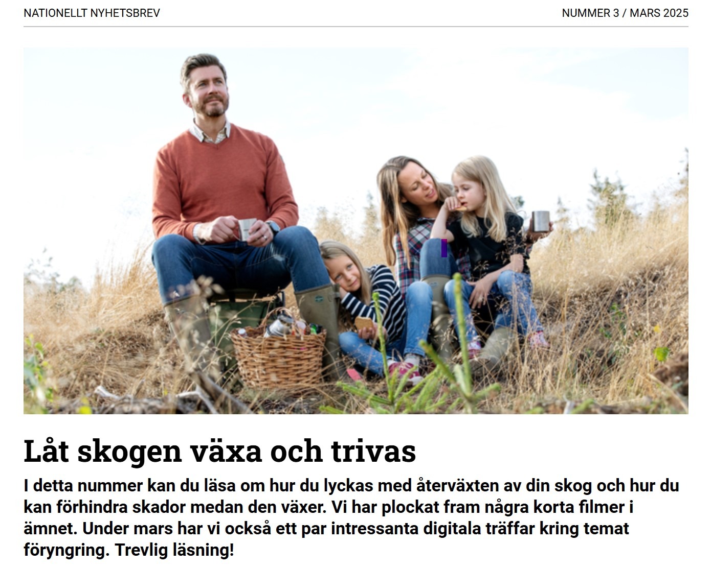 Du visar för närvarande Skogsstyrelsens nyhetsbrev nr. 3 – 2025